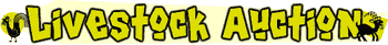 Livestock Auction